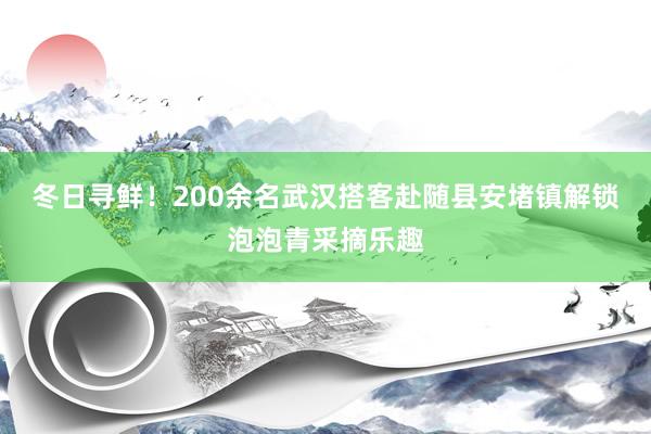 冬日寻鲜！200余名武汉搭客赴随县安堵镇解锁泡泡青采摘乐趣